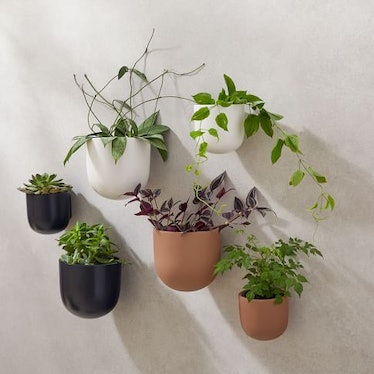 Ceramic Indoor/Outdoor Wallscape Planters