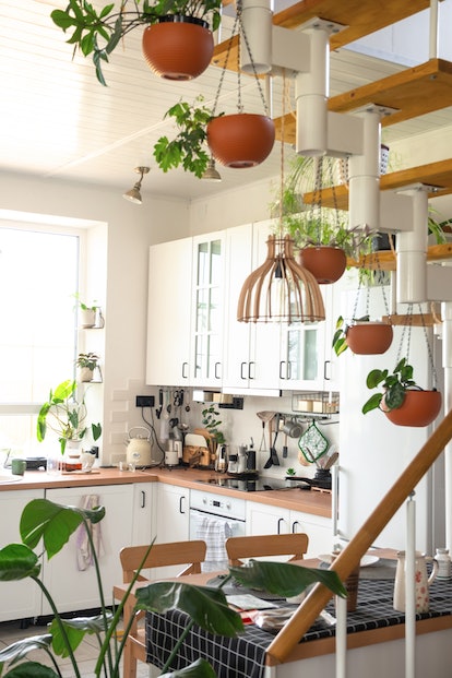 The interior of a white kitchen with a metal staircase in a cottage with potted plants in hanging pl...